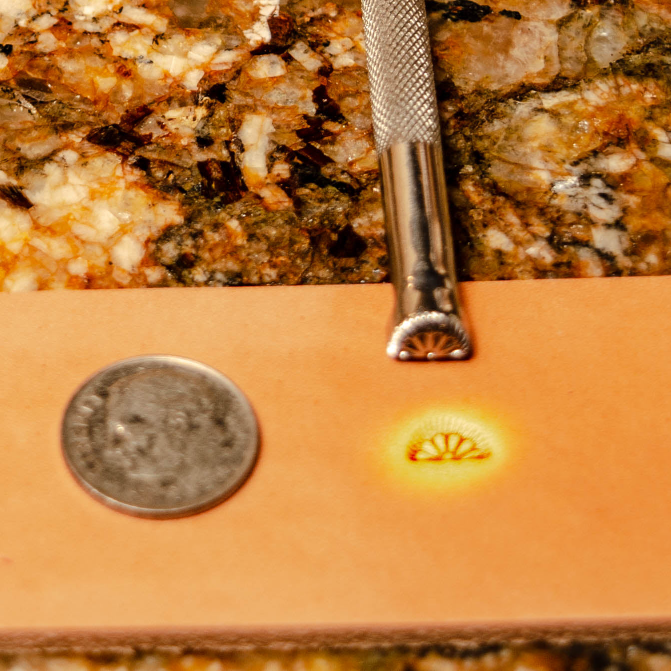 Barry King #1 Petal with Lines Border Stamp